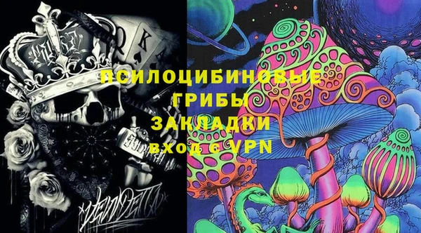 PSILOCYBIN Алексин
