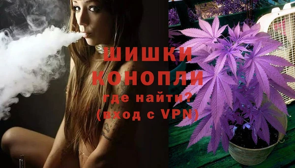 индика Шенкурск