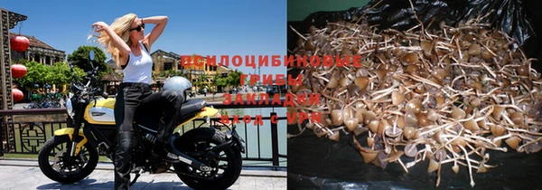 каннабис Абаза