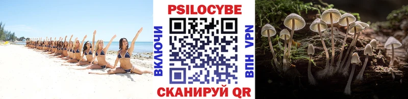 даркнет сайт  Котово  Галлюциногенные грибы Psilocybe 